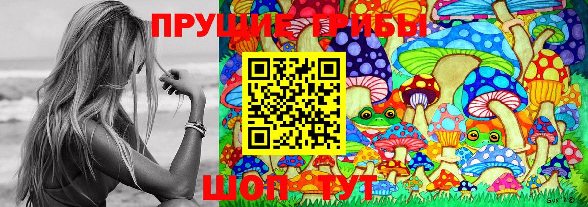 Ачхой-Мартан  Псилоцибиновые грибы прущие грибы  Вход с VPN  Галлюциногенные грибы Psilocybine cubensis 